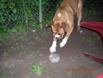 gal/Daisy/_thb_Daisy 01.jpg